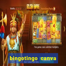 bingotingo canva pro gratis